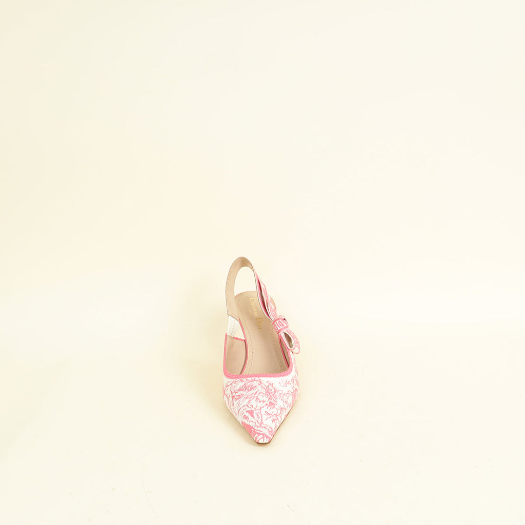 Christian Dior Bicolor J'adior Toile De Jouy Embroidered Slingback Pump Toile De Jouy
