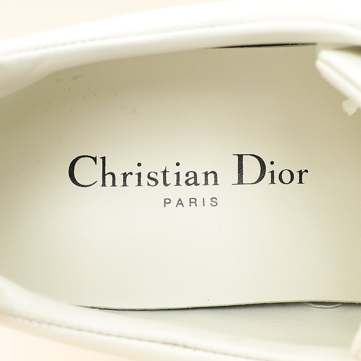 Christian Dior Bicolor Bee Low Top Sneaker 39.5
