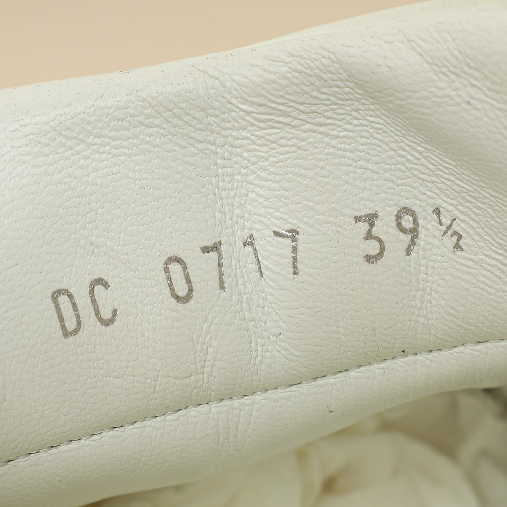 Christian Dior Bicolor Bee Low Top Sneaker 39.5