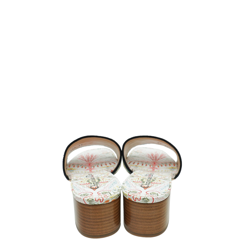 Christian Dior Multicolor Dway Embroidered Heeled Mules 39
