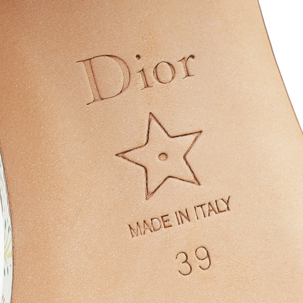 Christian Dior Multicolor Dway Embroidered Heeled Mules 39