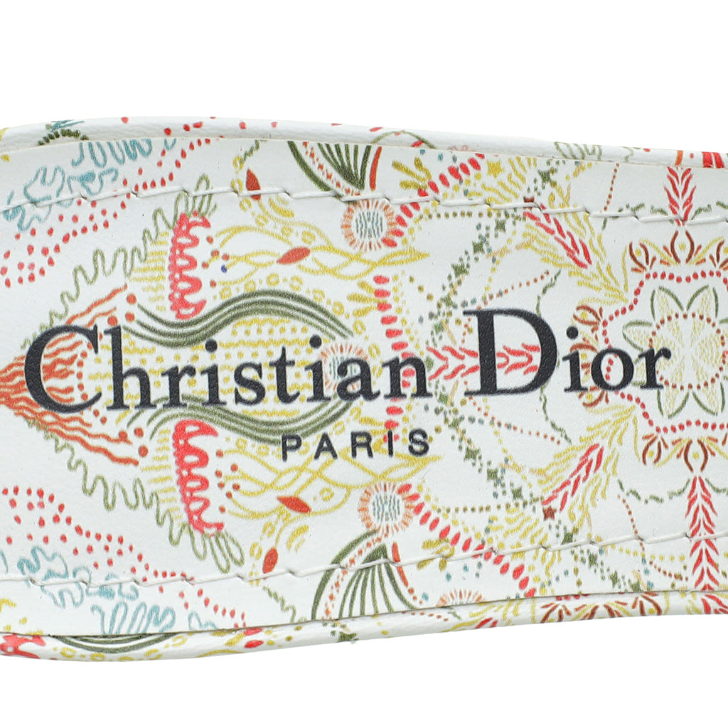 Christian Dior Multicolor Dway Embroidered Heeled Mules 39