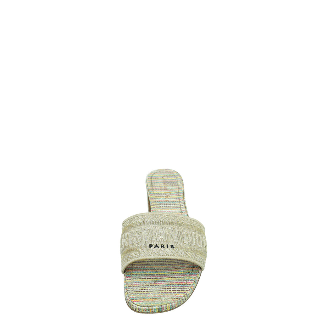 Christian Dior Gold Multicolor Dway Heeled Slide Sandals 39