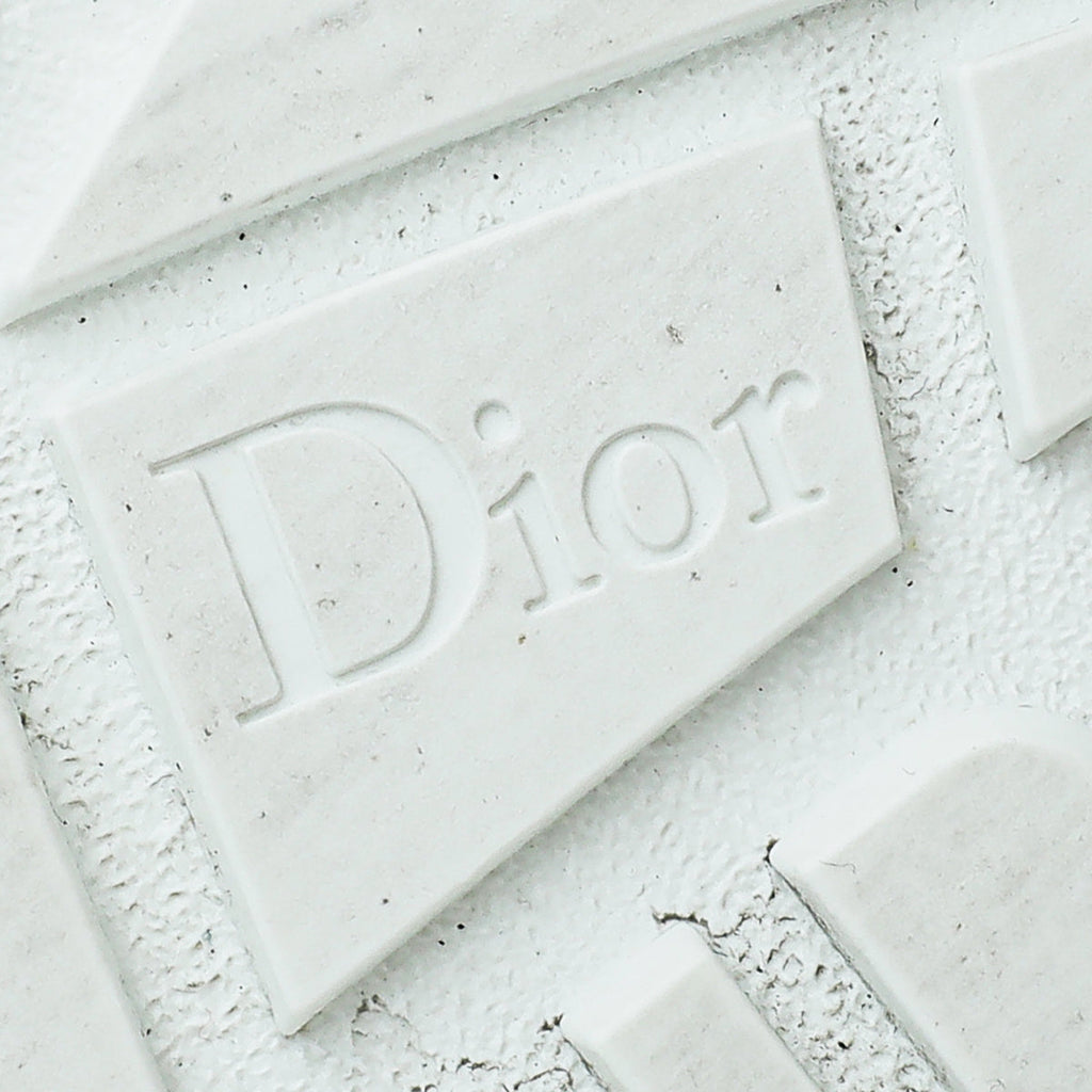 Christian Dior Bicolro ID Sneaker 40