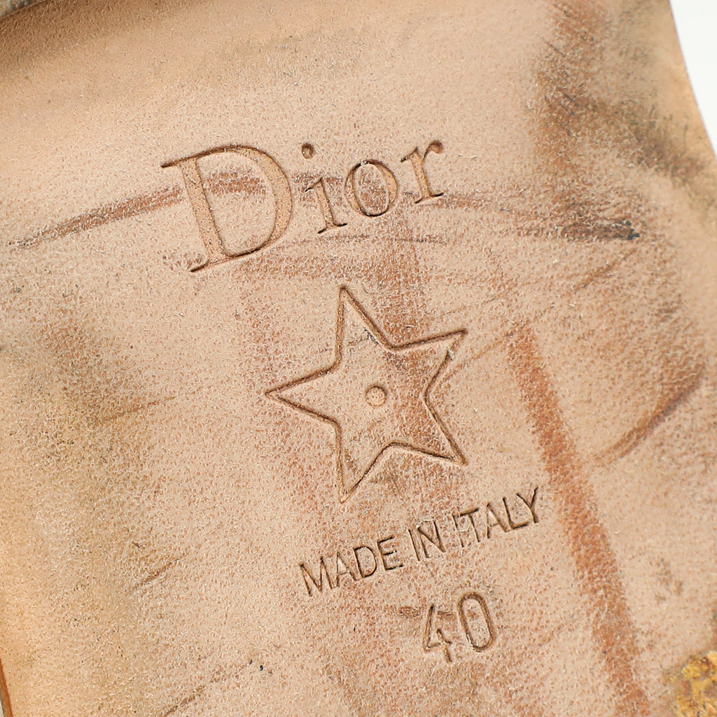 Christian Dior Blush Dway Embroidered Metallic Sandal 40