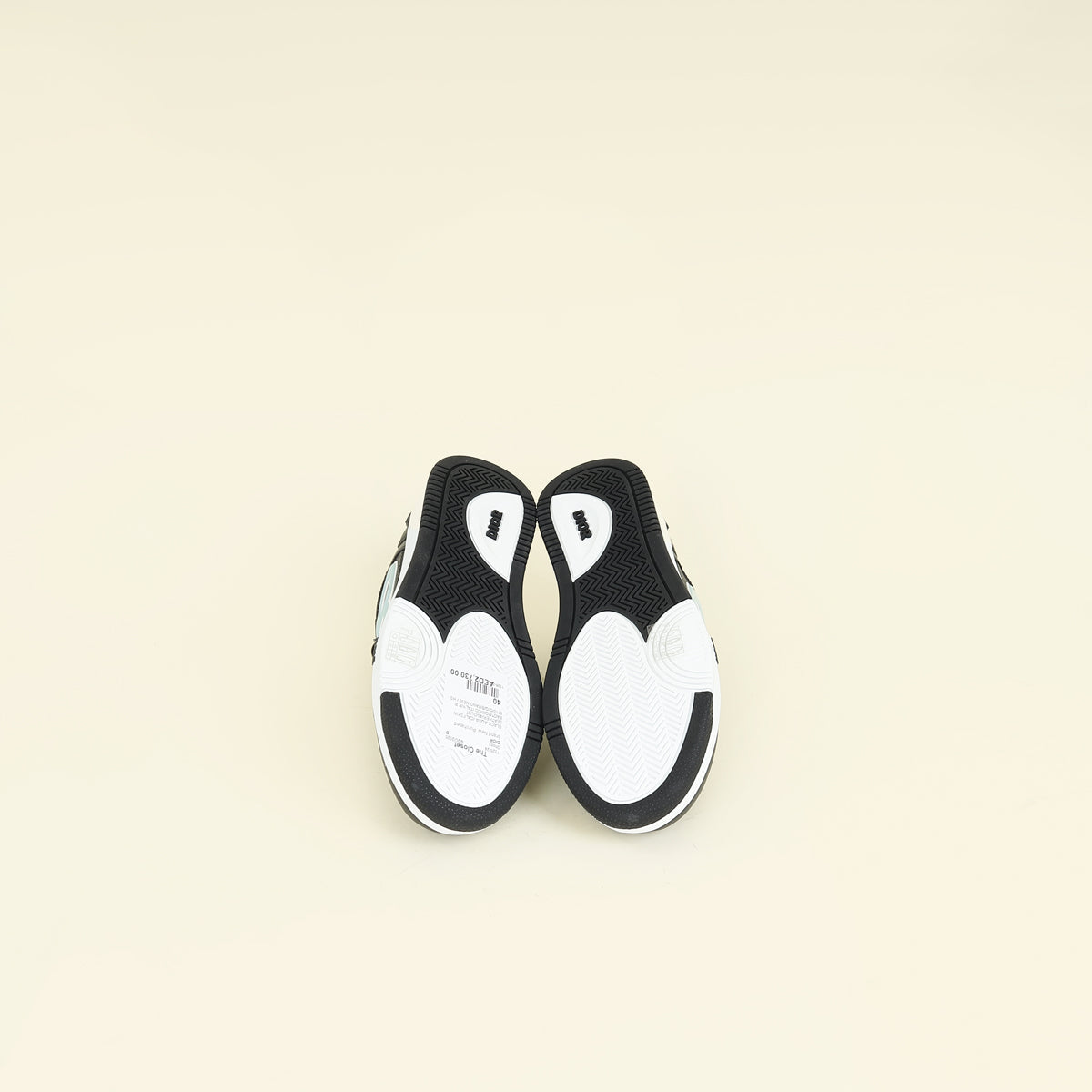 Christian Dior Bicolor x Stone Island B57 Low Sneaker 40