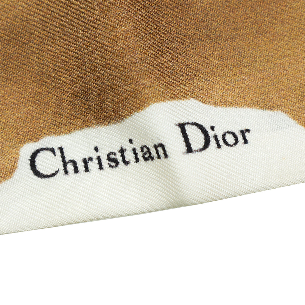 Christian Dior Multicolor Mitzah ABCDIOR S Scarf Silk Twilly
