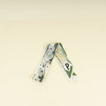 Christian Dior Olive Multicolor Plumes Letter Silk Twilly