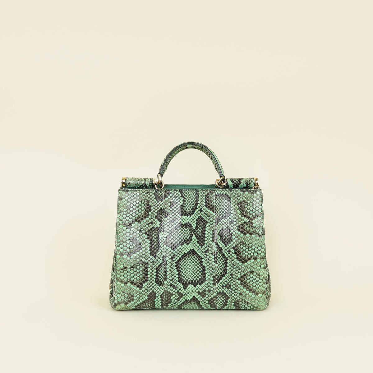Dolce & Gabbana Green Python Sicily Shopper Medium Bag