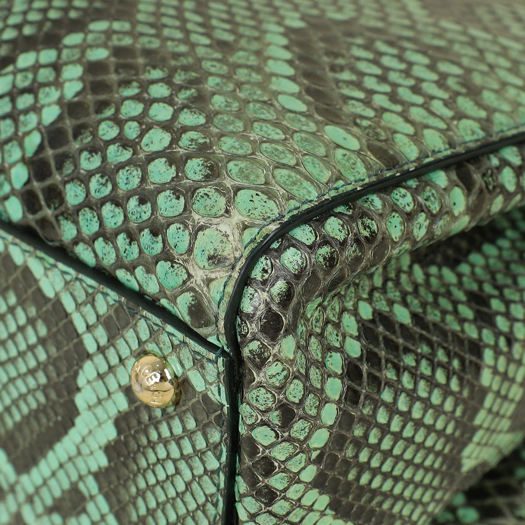 Dolce & Gabbana Green Python Sicily Shopper Medium Bag