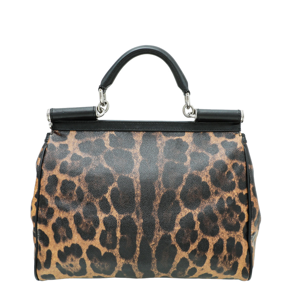 Dolce & Gabbana Brown Leopard Print Scilly Large Bag