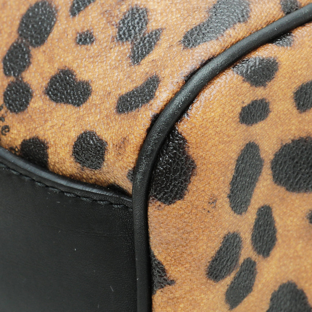 Dolce & Gabbana Brown Leopard Print Scilly Large Bag