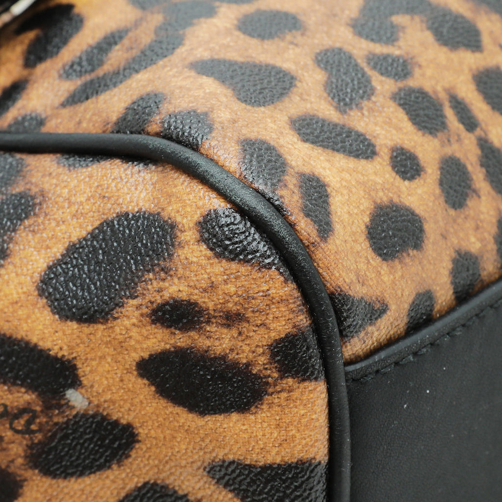Dolce & Gabbana Brown Leopard Print Scilly Large Bag