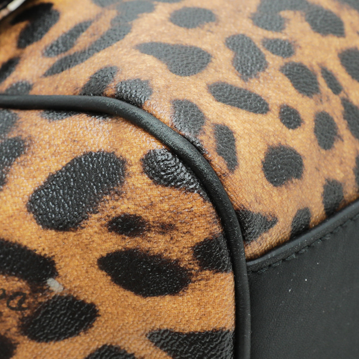 Dolce & Gabbana Brown Leopard Print Scilly Large Bag