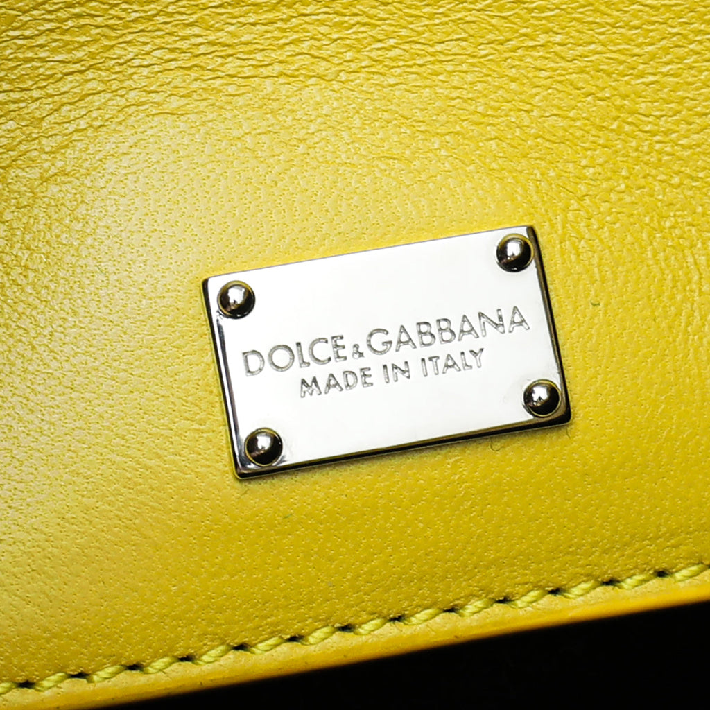 Dolce & Gabbana Bicolor Python Lizard Miss Monica Print Flap Bag