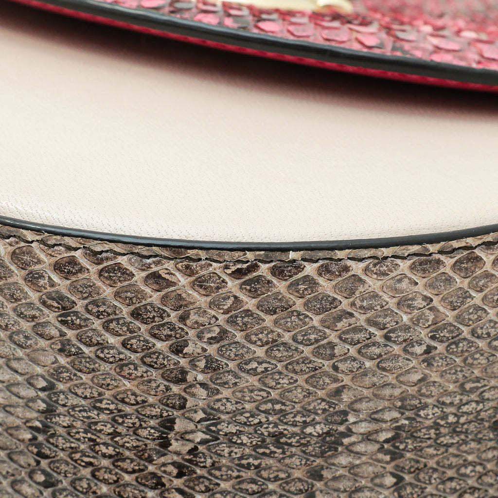 Dolce & Gabbana Tricolor Python Calf Wifi Bag