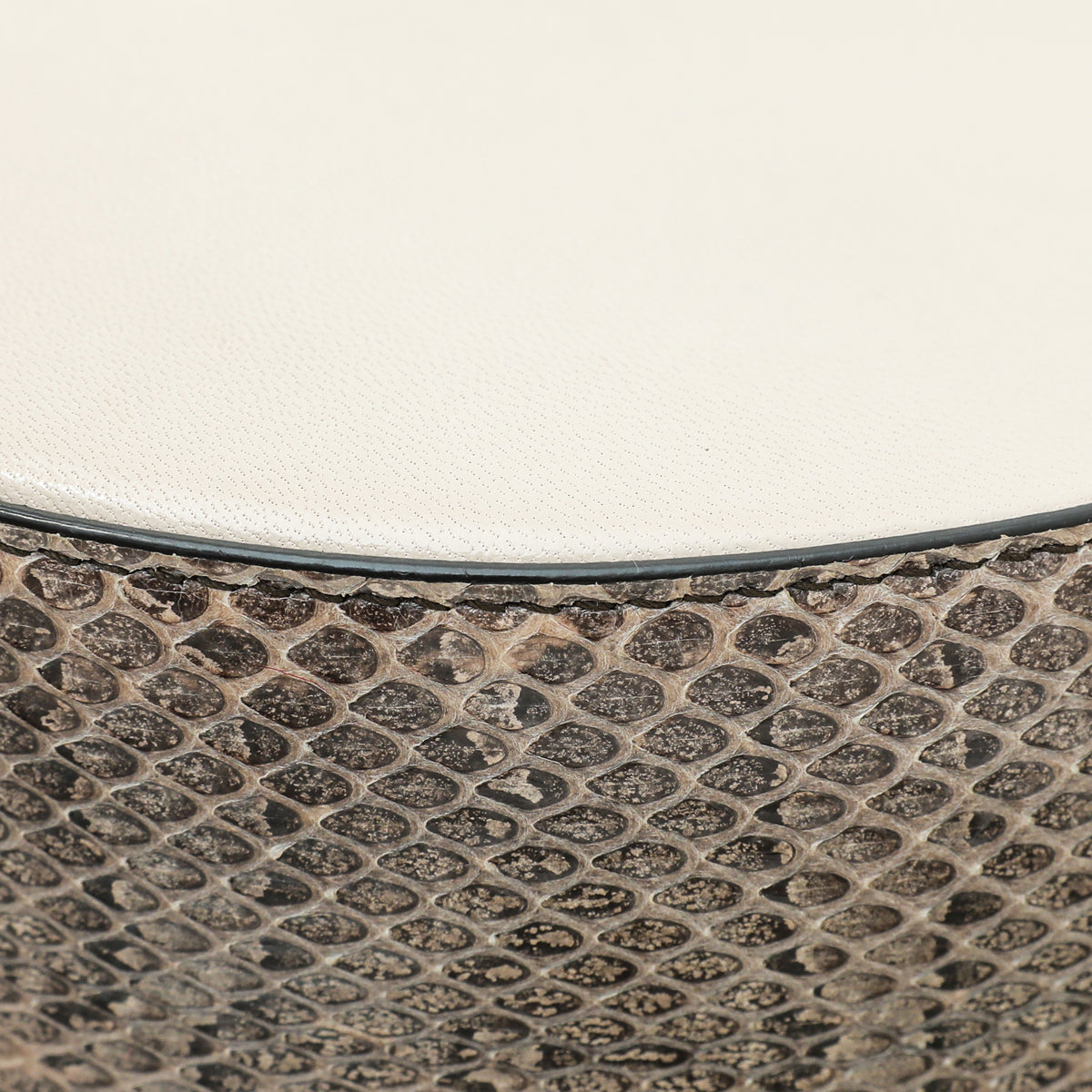 Dolce & Gabbana Tricolor Python Calf Wifi Bag