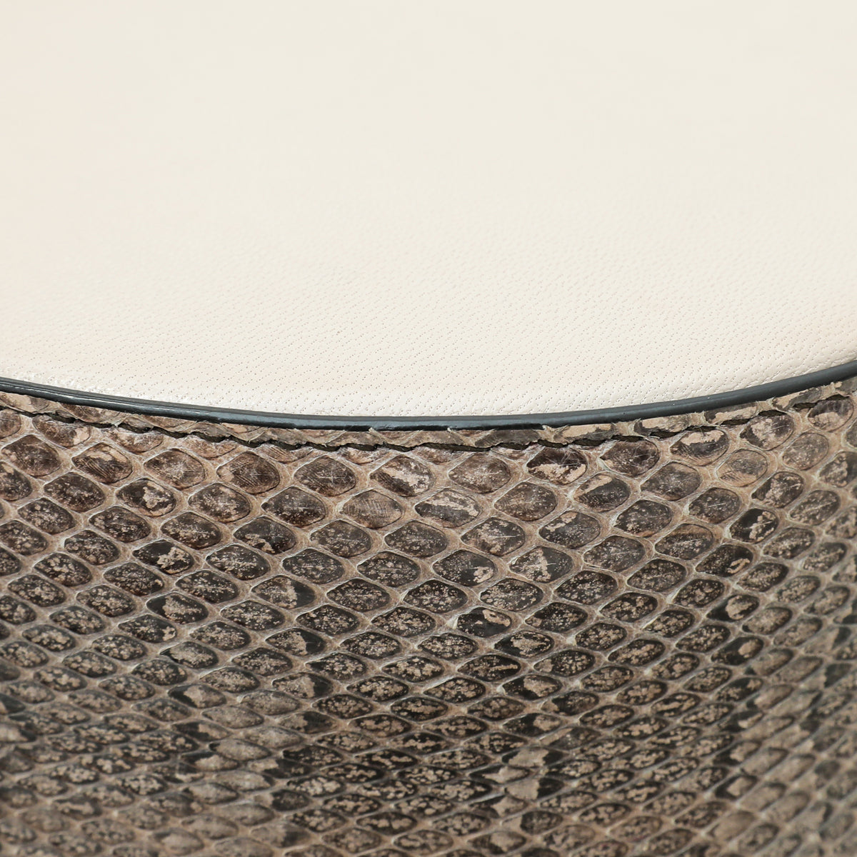 Dolce & Gabbana Tricolor Python Calf Wifi Bag