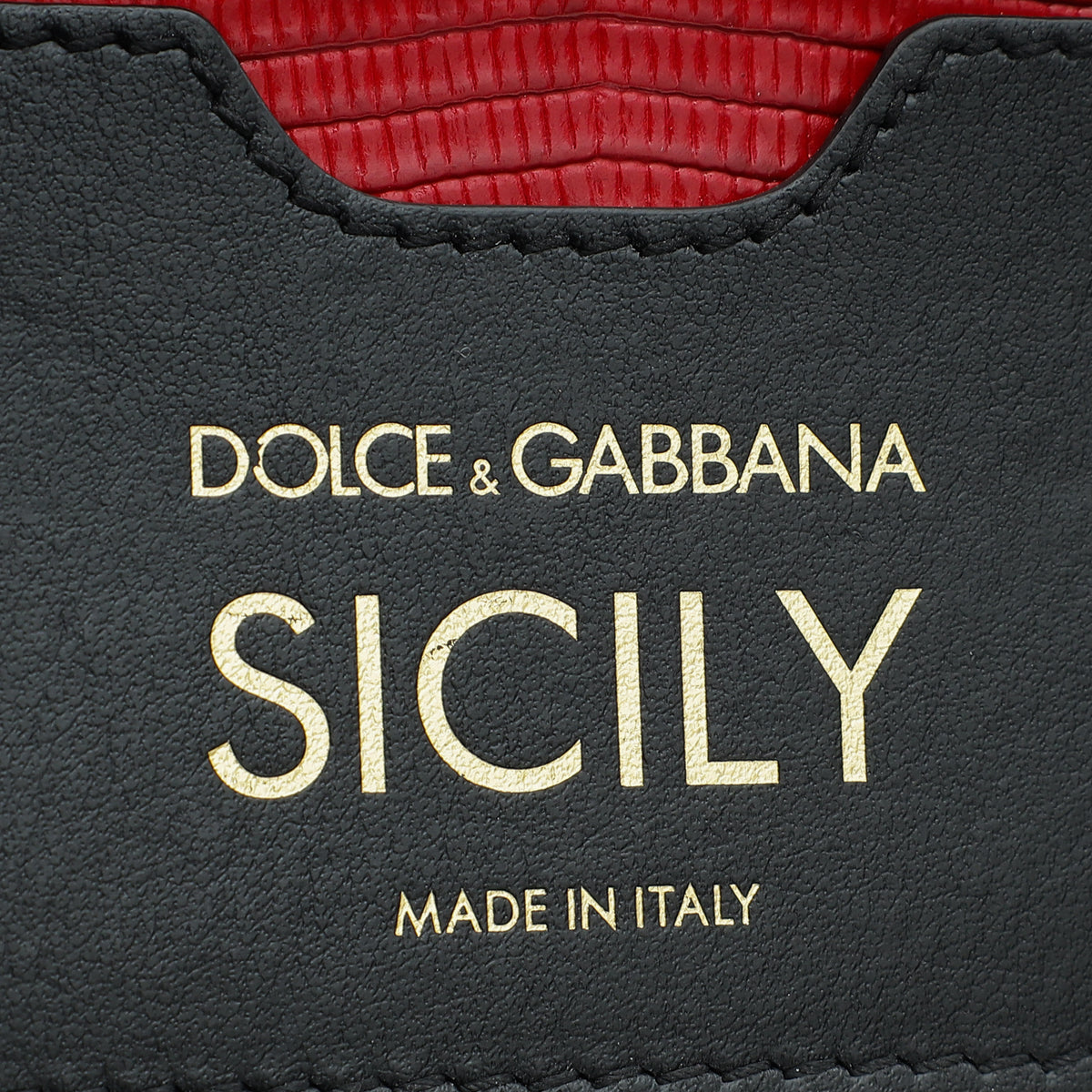 Dolce & Gabbana Red Iguana Print Crystal Mini Sicily Bag