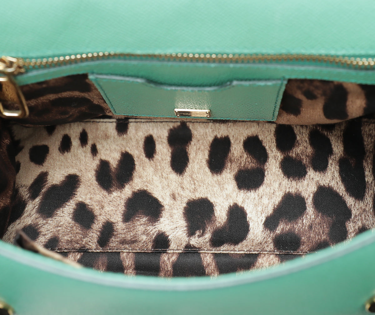 Dolce & Gabbana Mint Green Dauphine Sicily Medium Bag