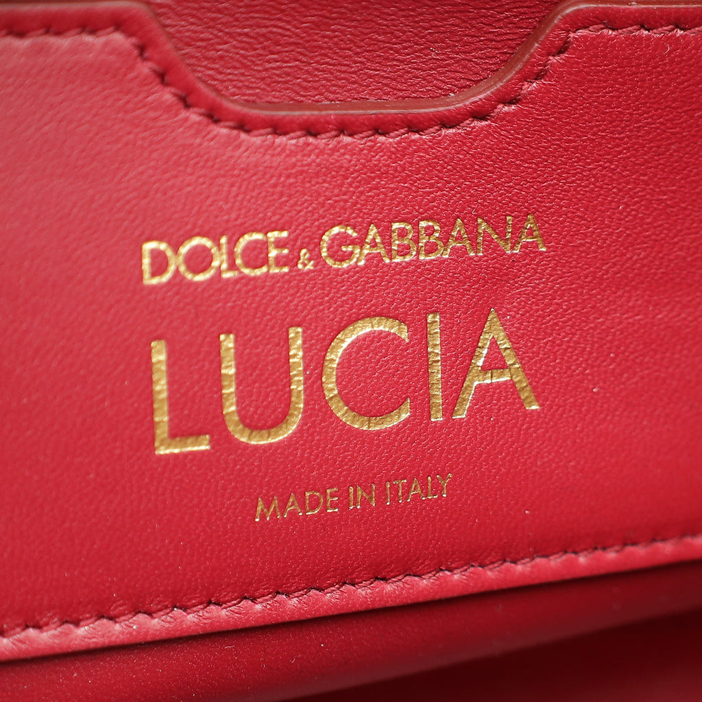 Dolce & Gabbana Bicolor Python Lucia Top Handle Bag