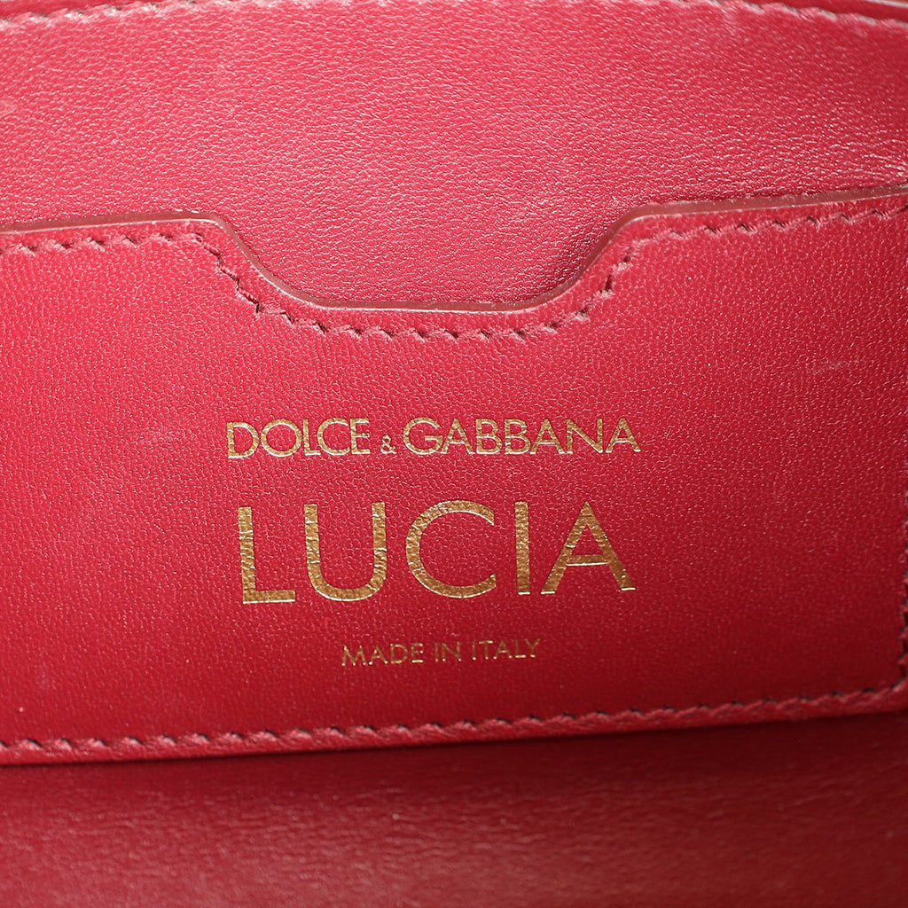 Dolce & Gabbana Black Iguana Print Lucia Bag