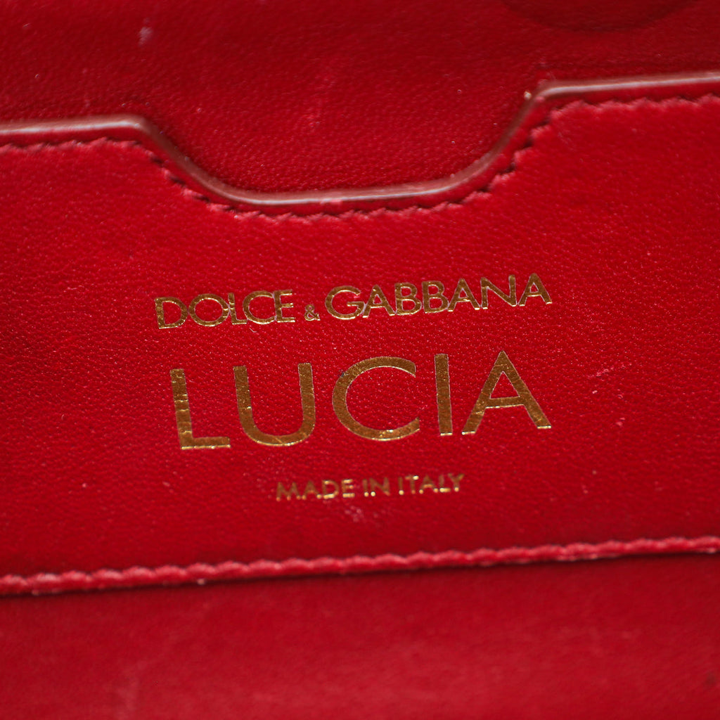 Dolce & Gabbana Pink Iguana Print Lucia Shoulder Bag