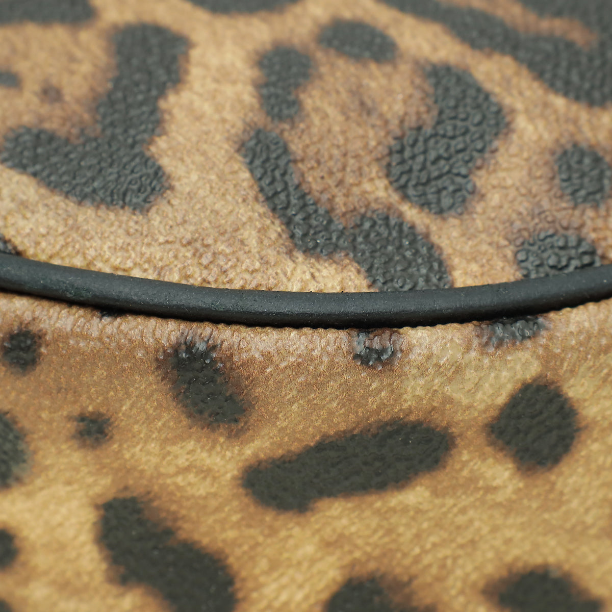 Dolce & Gabbana Bicolor Leopard Print Glam Round Crossbody Bag