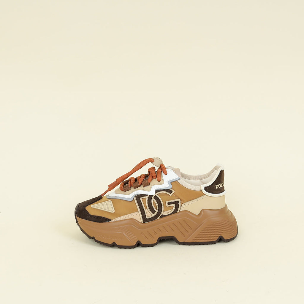 Dolce & Gabbana Brown Multicolor DG Logo Daymaster Sneakers 36