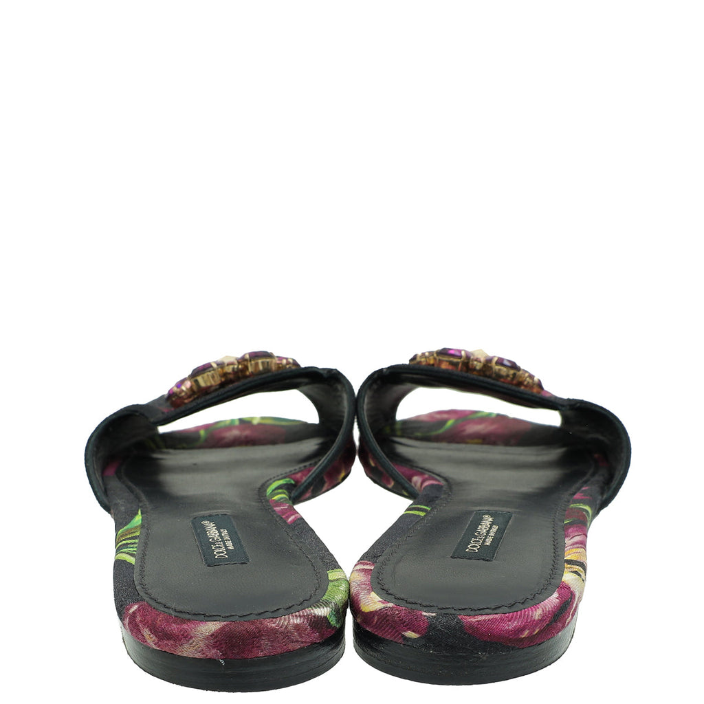 Dolce & Gabbana Multicolor Bellucci Embellished Flat Sandal 39Printed Canvas