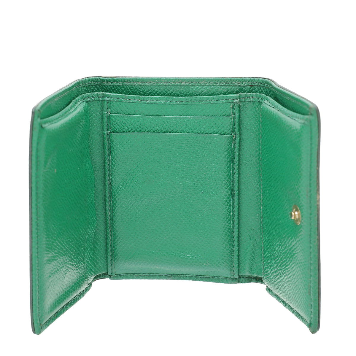 Dolce & Gabbana Green Lizard Embossed Small Wallet