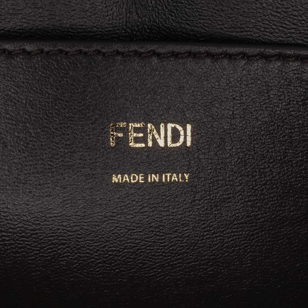 Fendi Calfskin Vitello King Nubuck Pequin Karligraphy Pocket Shoulder Bag