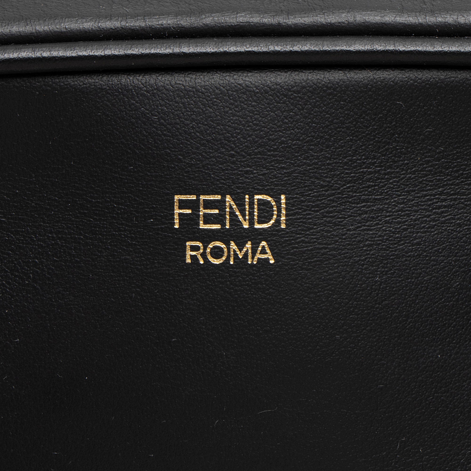 Fendi FF Embossed Calfskin Mini Camera Bag