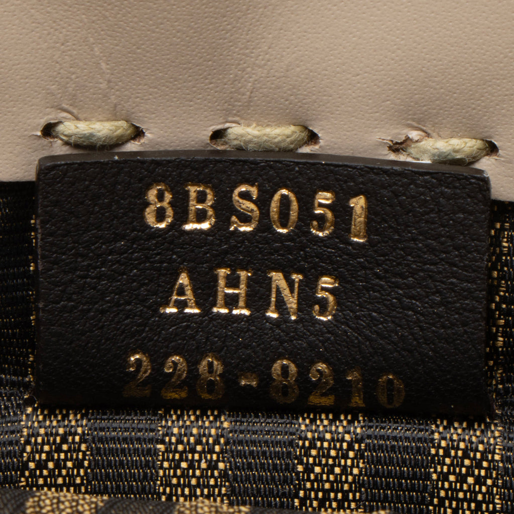 Fendi Leather Python Sunshine Mini Shopper Tote