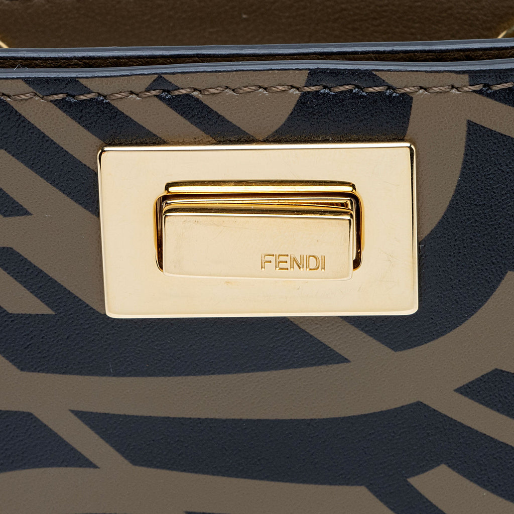 Fendi X Sara Coleman Leather Vertigo Peek A Phone Pouch (SHF-eqtLTR)