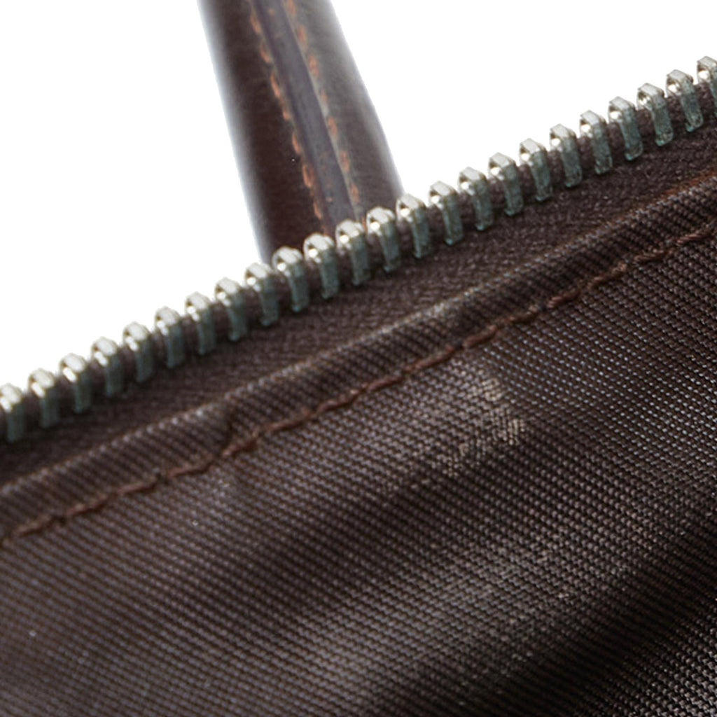Fendi Zucca Handbag (SHG-guXKRM)