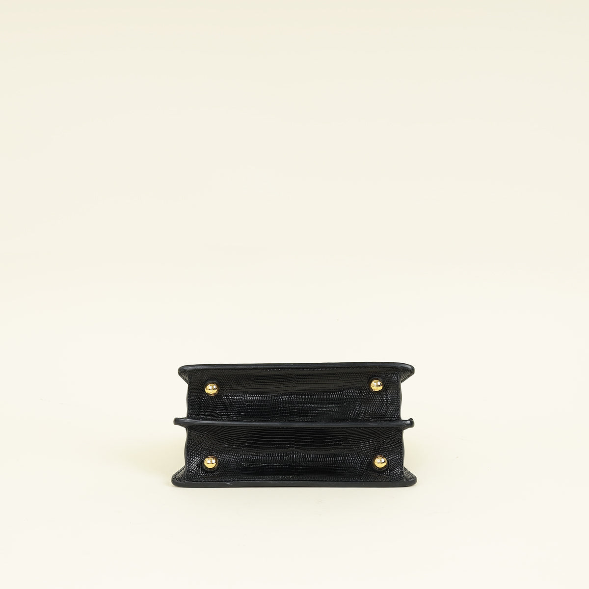Fendi Black Lizard ISeeU Petite Peekaboo Bag