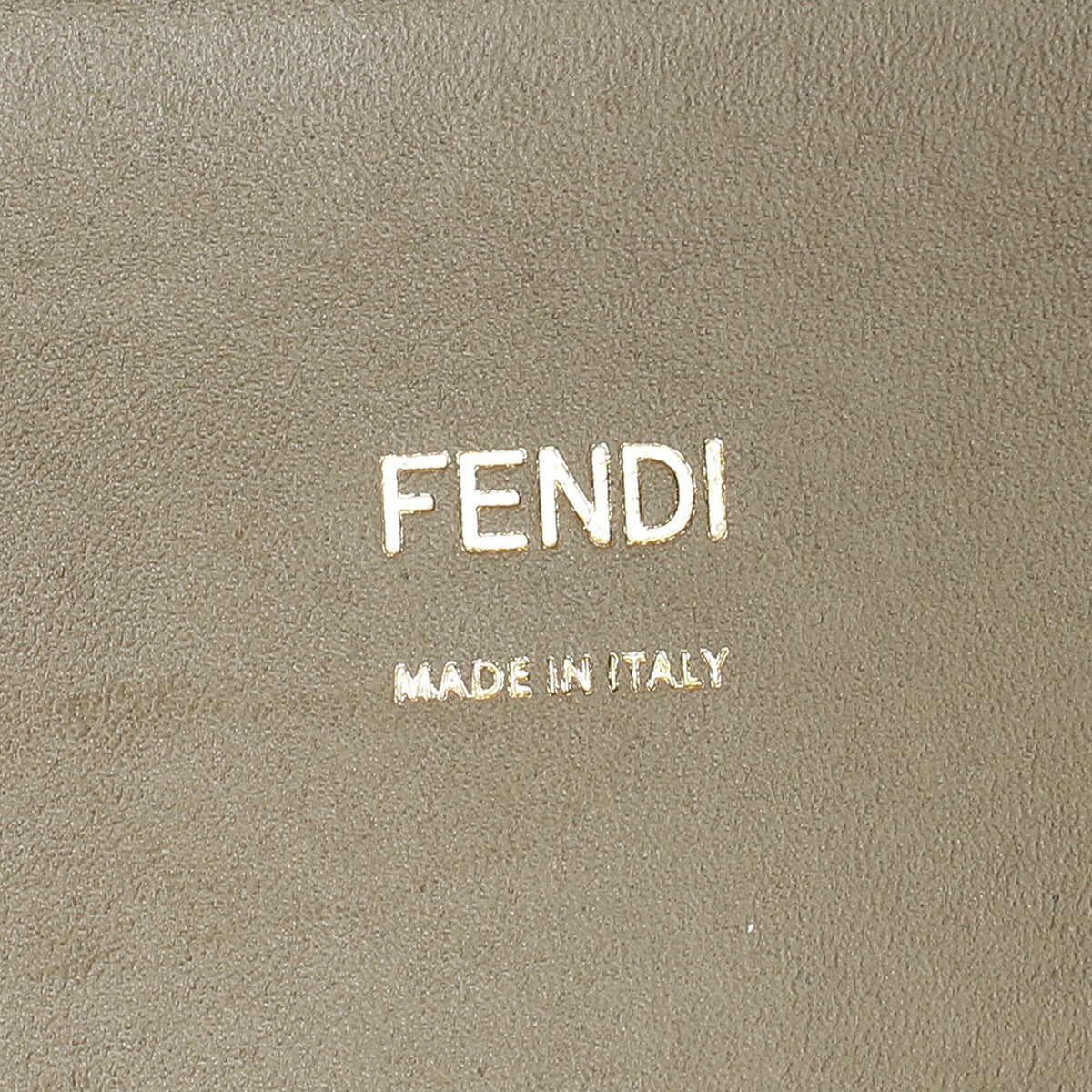 Fendi Etoupe Sunshine Medium and Elaphe Bag
