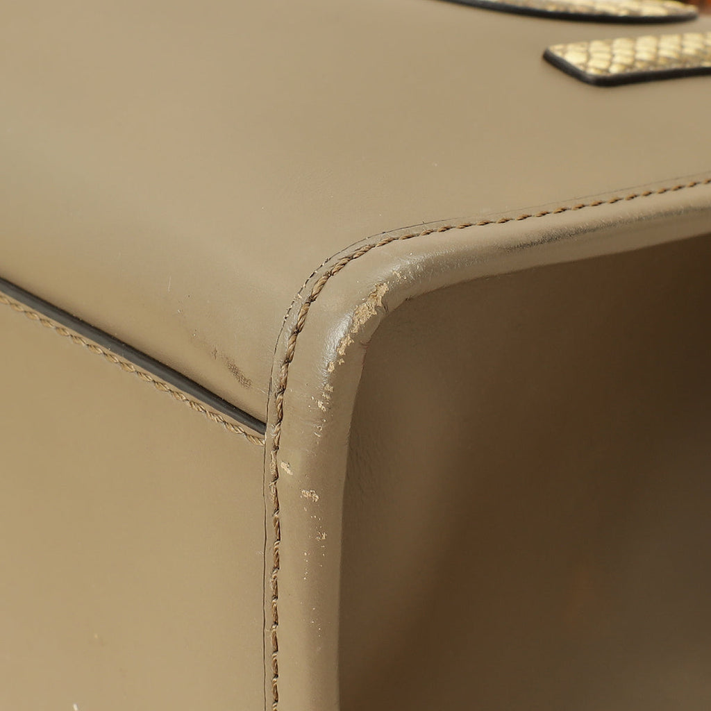 Fendi Etoupe Sunshine Medium and Elaphe Bag