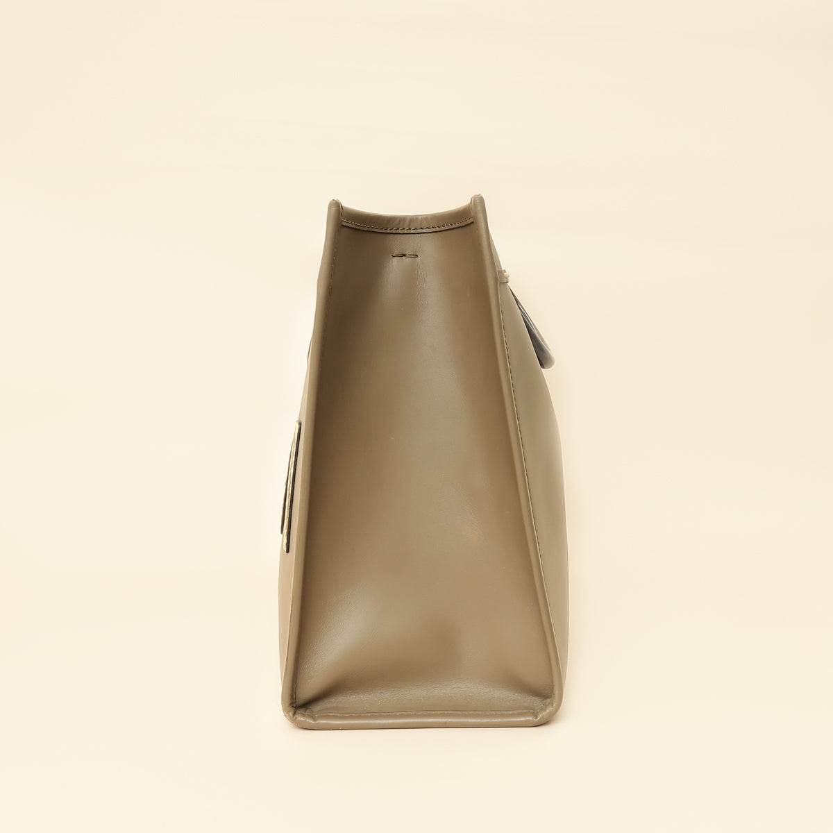 Fendi Etoupe Sunshine Medium and Elaphe Bag