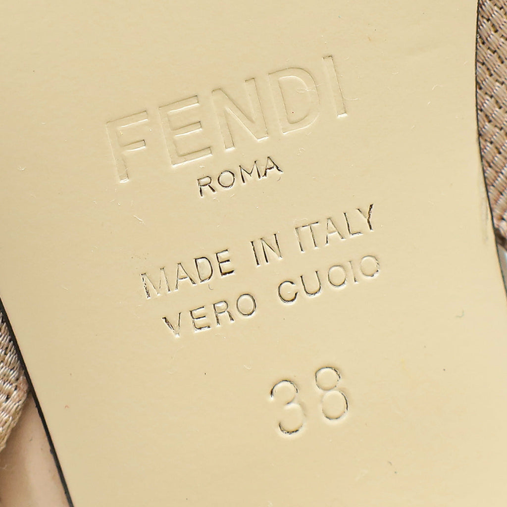 Fendi Bicolor Colibri Mesh Slingback Pumps 38