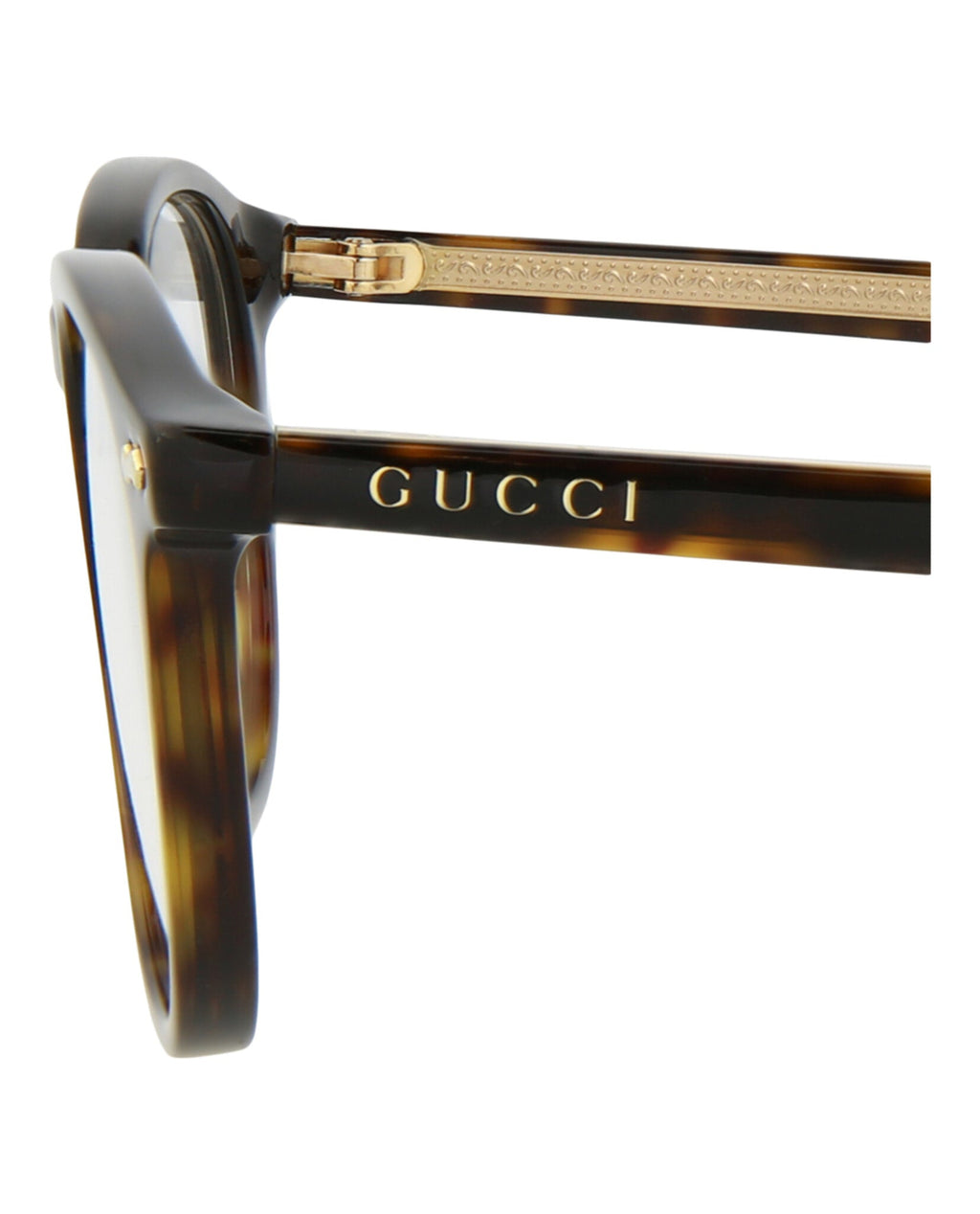 Gucci Unisex Round/Oval Havana Havana Transparent Fashion Designer Eyewear