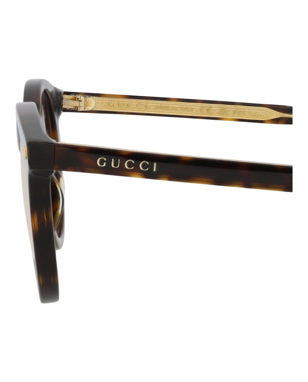 Gucci Mens Round/Oval Havana Havana Yellow Fashion Designer Eyewear
