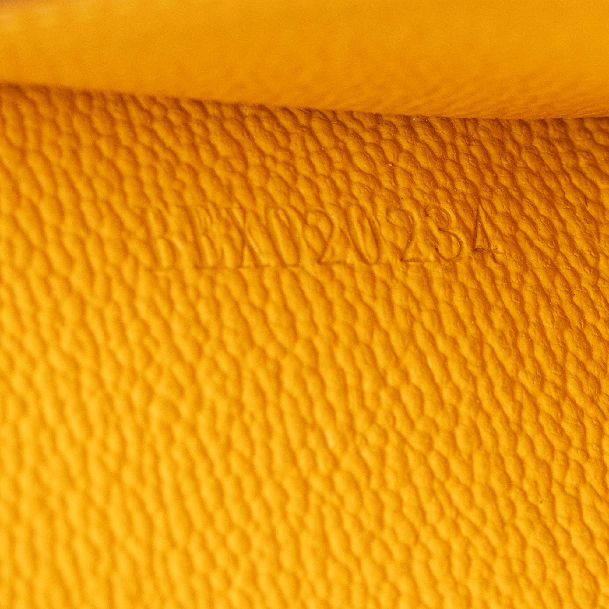 Goyard Goyardine Canvas Louise Insert