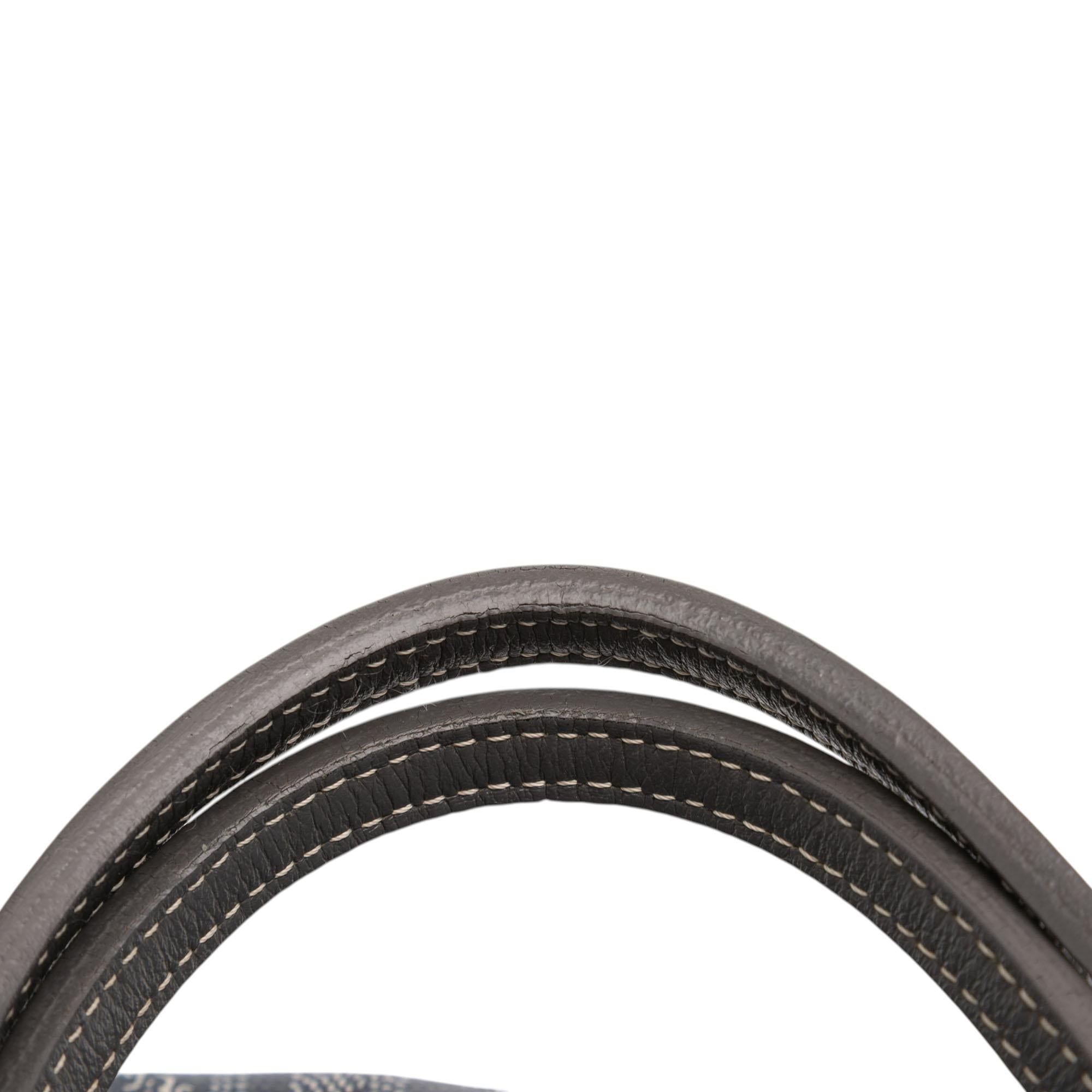 Goyard Goyardine Saint Louis PM