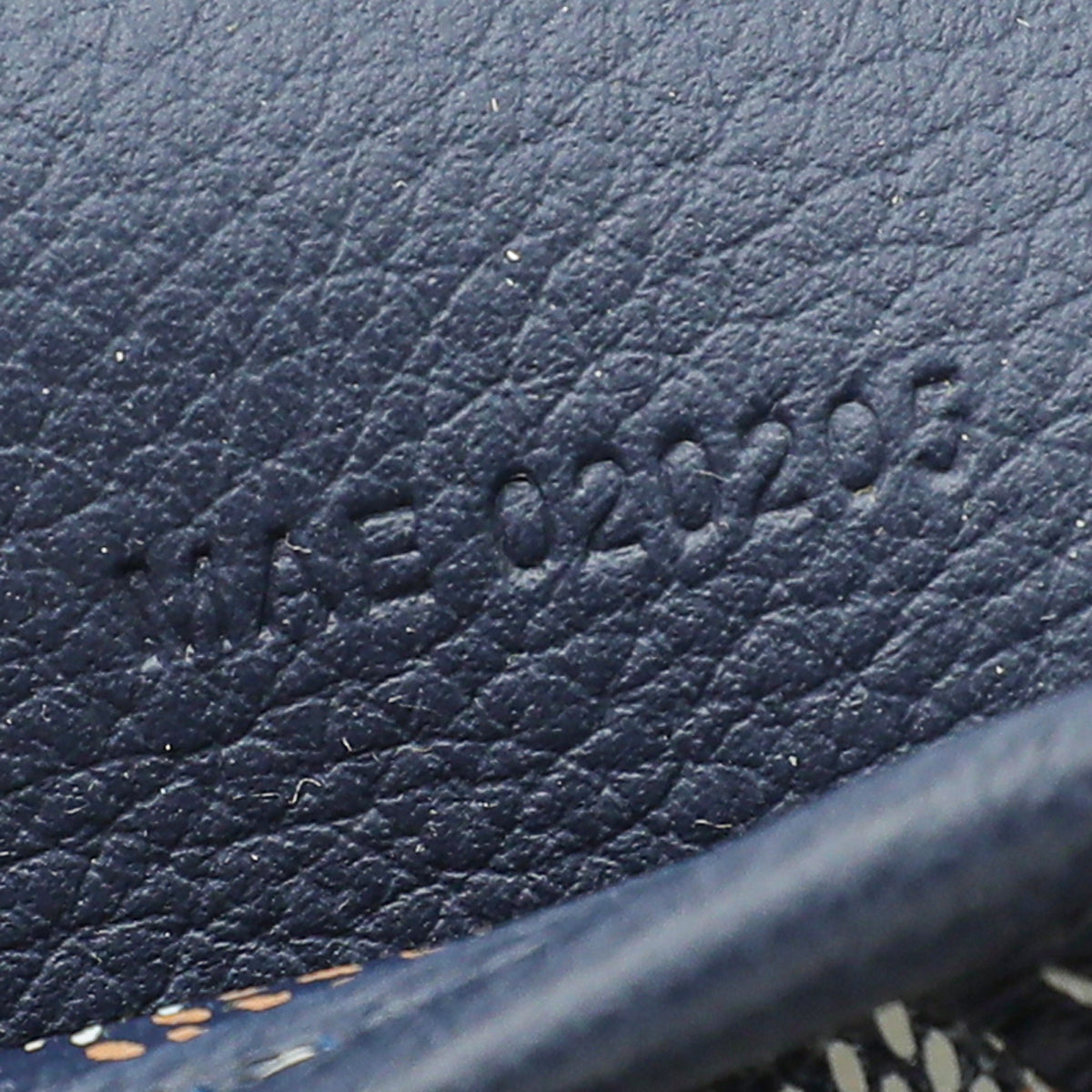 Goyard Blue Goyardine Sac Alpin Mini Backpack Bag