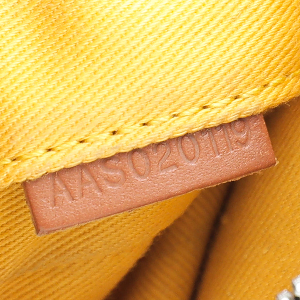 Goyard Brown Goyardine Yona PM Bag
