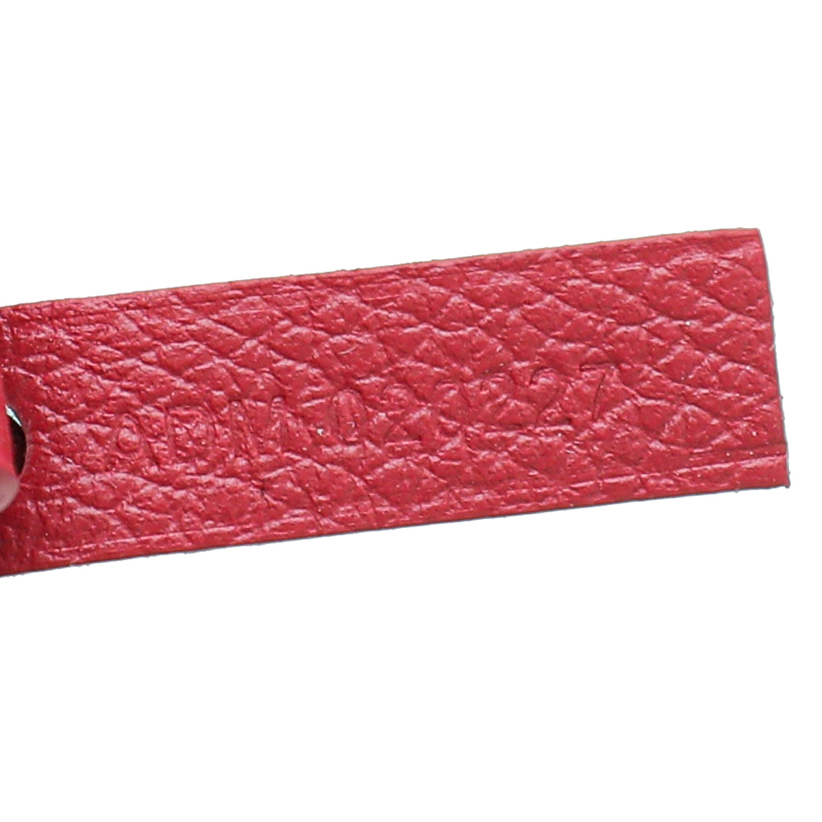 Goyard Red Saint Louis PM Bag