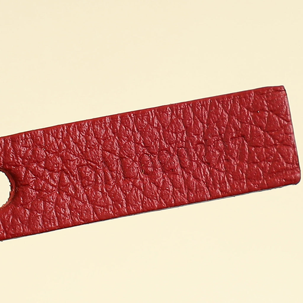 Goyard Red Goyardine Saint Louis PM Bag