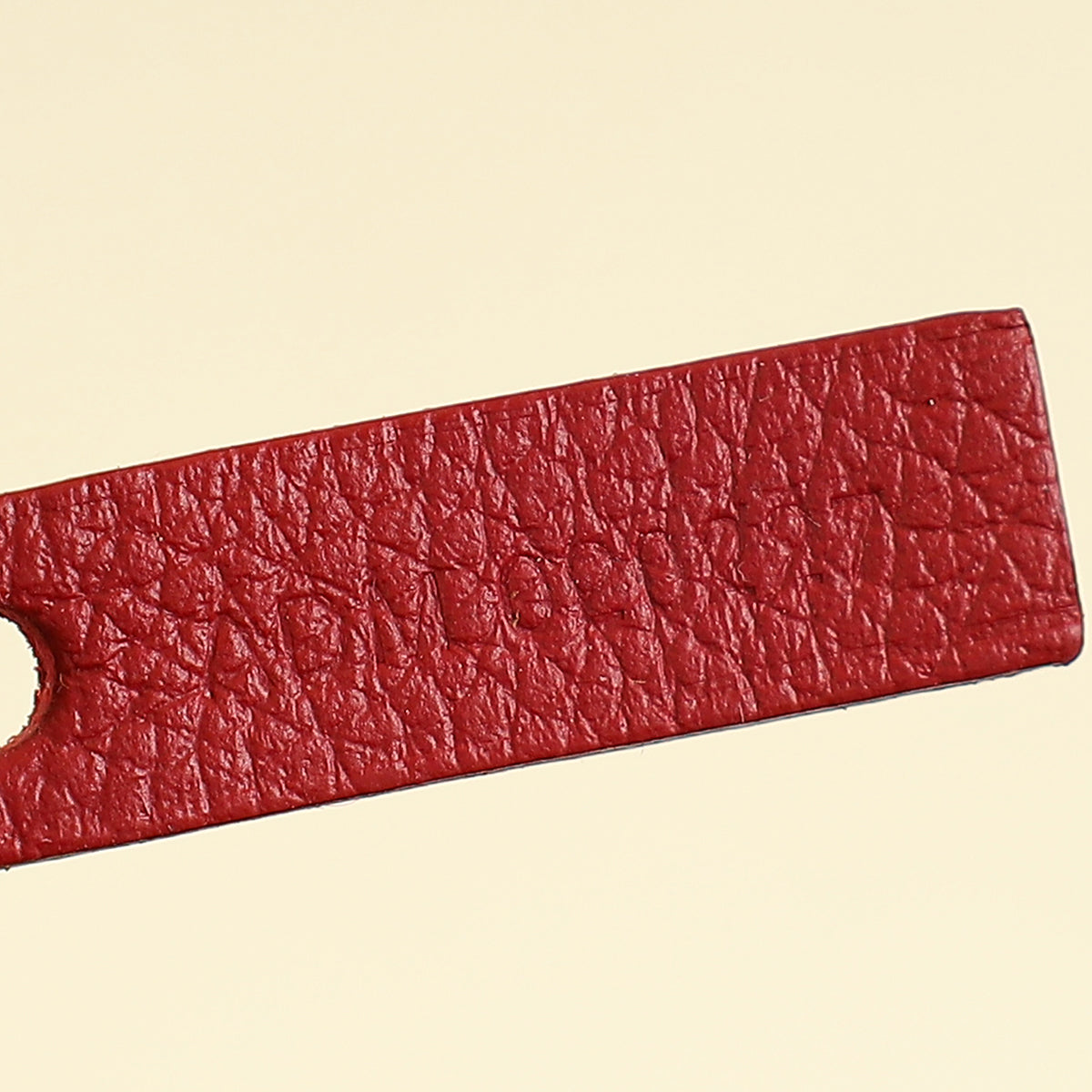 Goyard Red Goyardine Saint Louis PM Bag